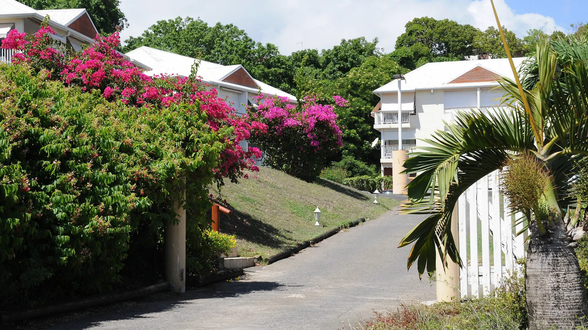 아파트호텔 Residence Tropicale 르 물레